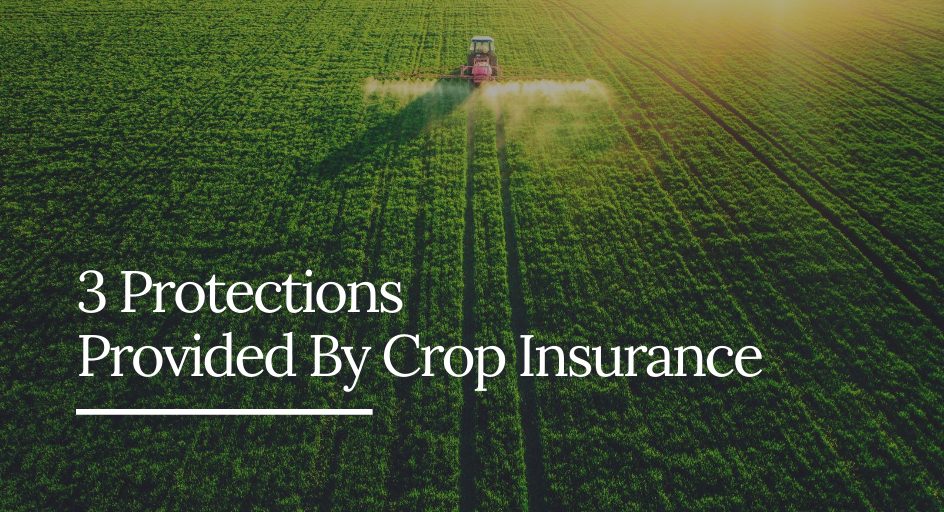 blog image of an american farm protected by crop insurance